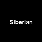 Siberian 