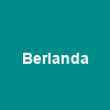 Cupom Berlanda